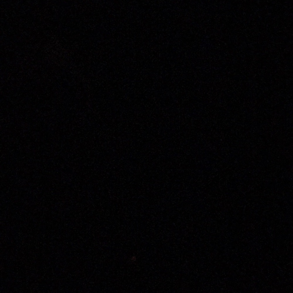 Meet your Posher, Lacy